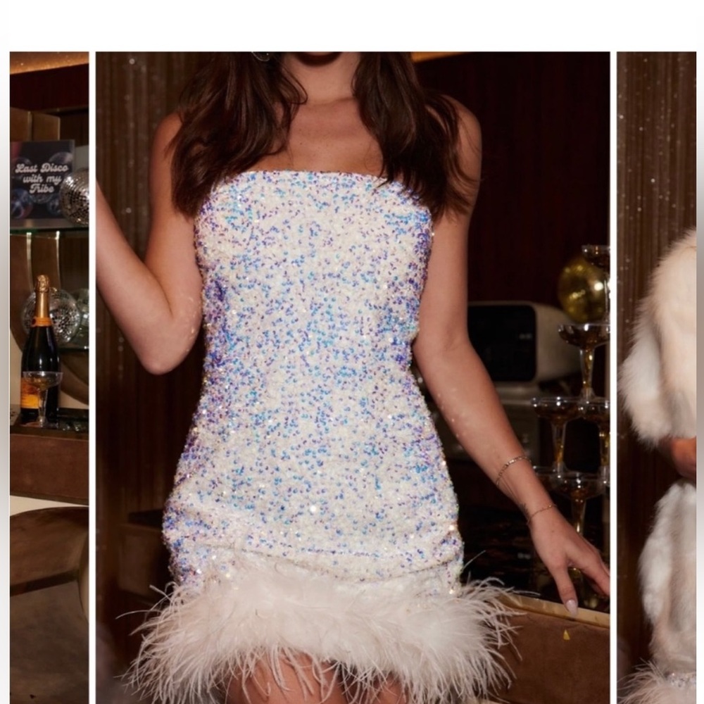 NWT: Anastasia sequin feather dress